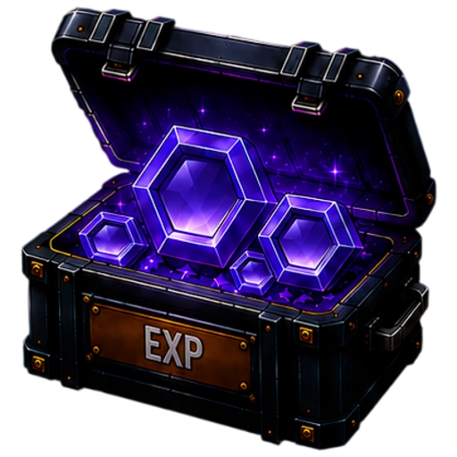 КЕЙС EXP